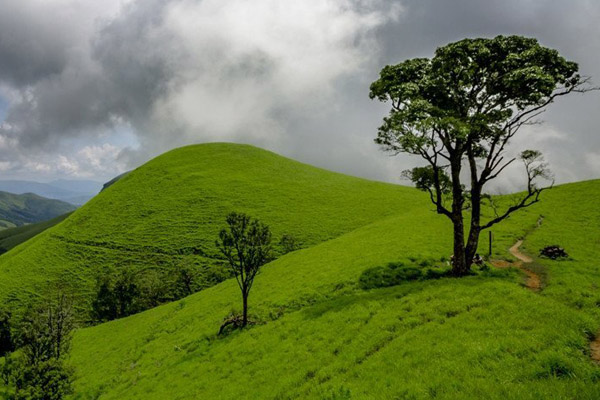 ಕುದುರೆಮುಖ ರಾಷ್ಟ್ರೀಯ ಉದ್ಯಾನವನ ಪರಿಸರ ಸೂಕ್ಷ್ಮವಲಯದ ಗಡಿ 1 ಕಿ.ಮೀ