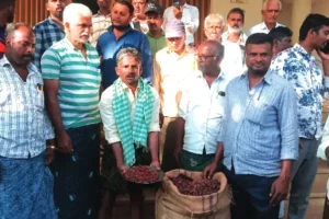 ಗುಣಮಟ್ಟಕ್ಕೆ ಕತ್ತರಿ, ಬೆಳೆಗಾರರ ಕಿಡಿ