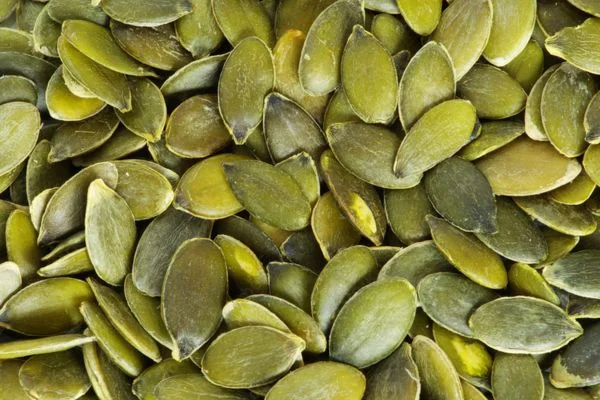 ಕುಂಬಳಕಾಯಿ ಬೀಜದ ಪ್ರಯೋಜನಗಳೇನು? ಇದು 'ಹೃದಯ'ಕ್ಕೆ ಉತ್ತಮ, ಇಲ್ಲಿದೆ ಉಪಯುಕ್ತ ಮಾಹಿತಿ | Pumpkin Seeds